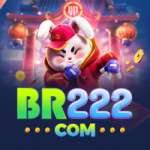 br222 Casino VIP v5.9.8